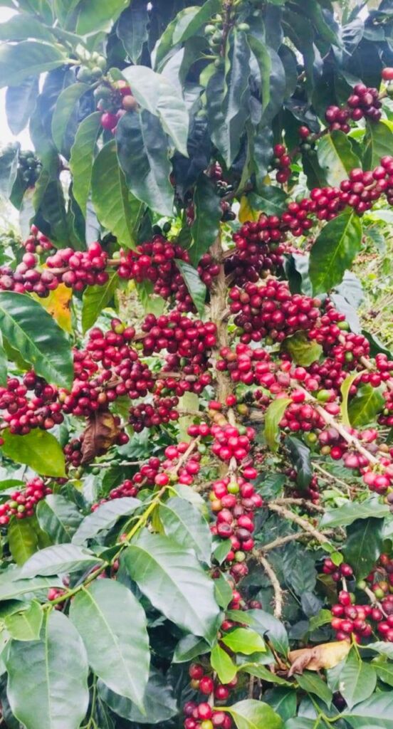 img 20250904 wa01761